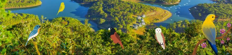 Birding in Dalat plateau