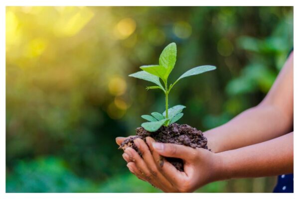 What's Environmental Conservation