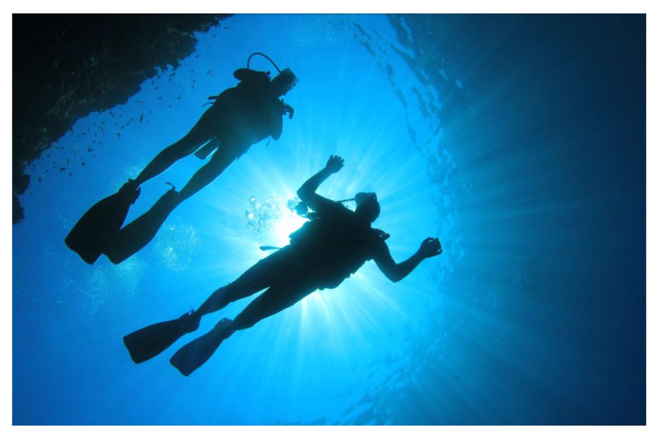 6 Marine Conservation Projects in Asia Pacific That You Should Know About 4 marine conservation