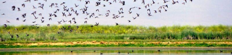 Bird habitats and communities in Vietnam