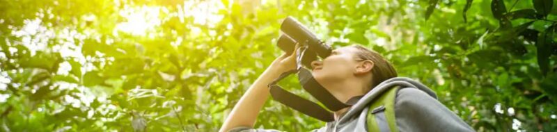 15 Practical Birdwatching Tips for 2022