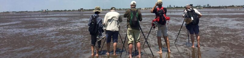 Intineray - A Guide for Beginners Birdwatching 101.