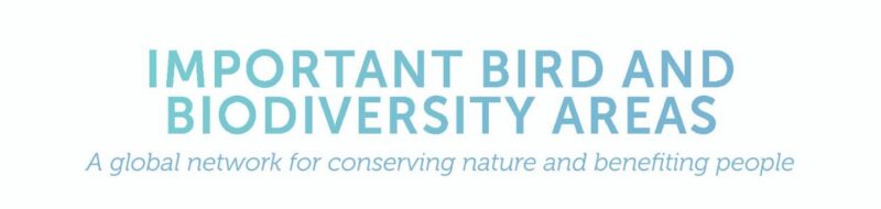 What is Important Bird and Biodiversity Areas (IBAs)