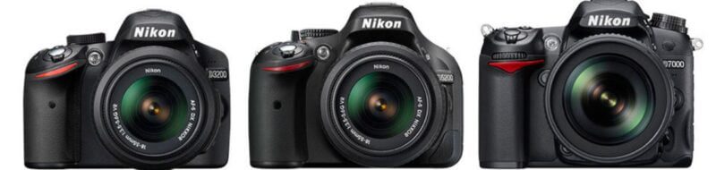 How to Choose Your Equipment for bird photograph