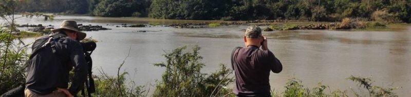How to Start Birdwatching? (Step-by-step Guide)