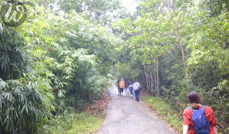 WHAT IS ECOTOURISM? 1 WHAT IS ECOTOURISM?