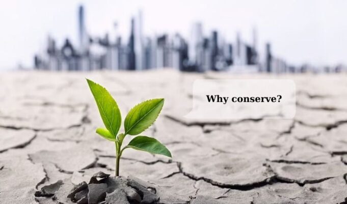 Why conserve?