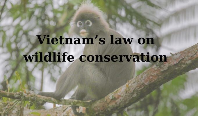 Overview of Vietnam’s law on wildlife conservation and protection