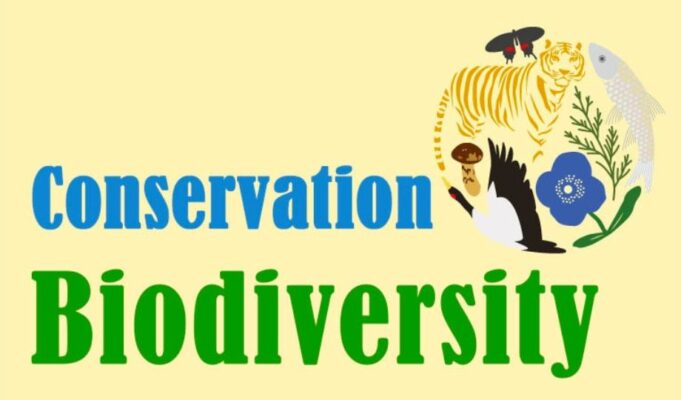 What's Biodiversity Conservation?