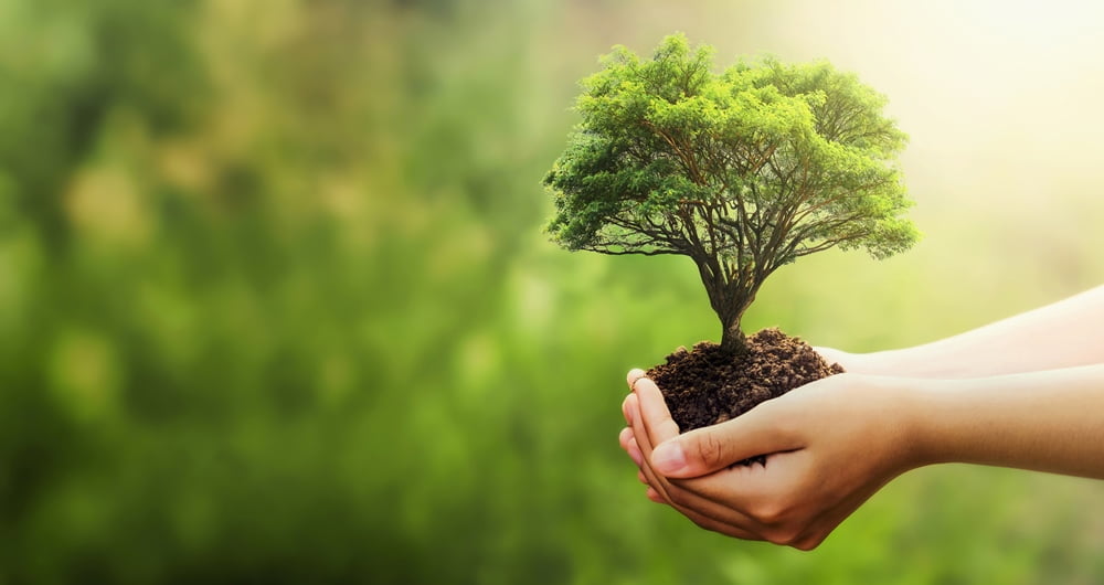 5 ways nature supports human health 2 nature supports