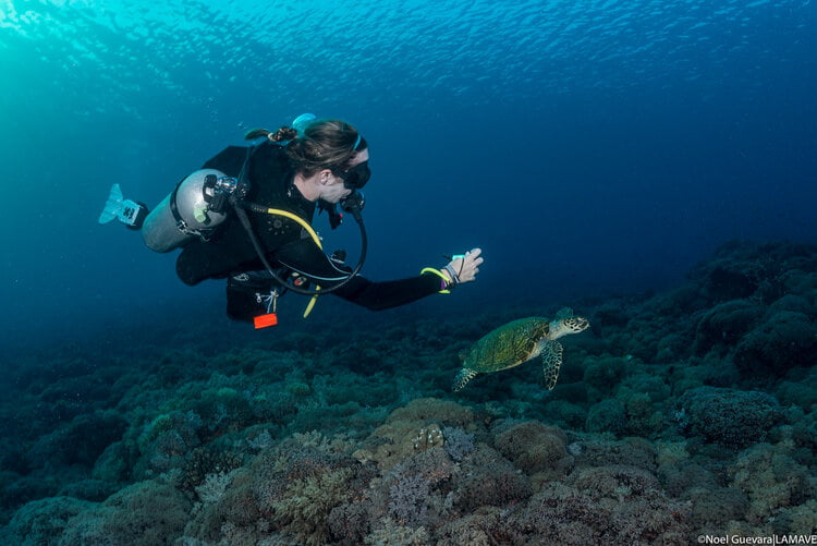 6 Marine Conservation Projects in Asia Pacific That You Should Know About 5 marine conservation