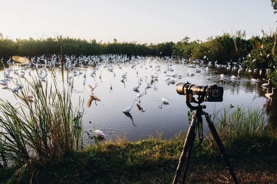 Tower hides for birdwatching in Vietnam 7 Activities WANEE Go-WILD