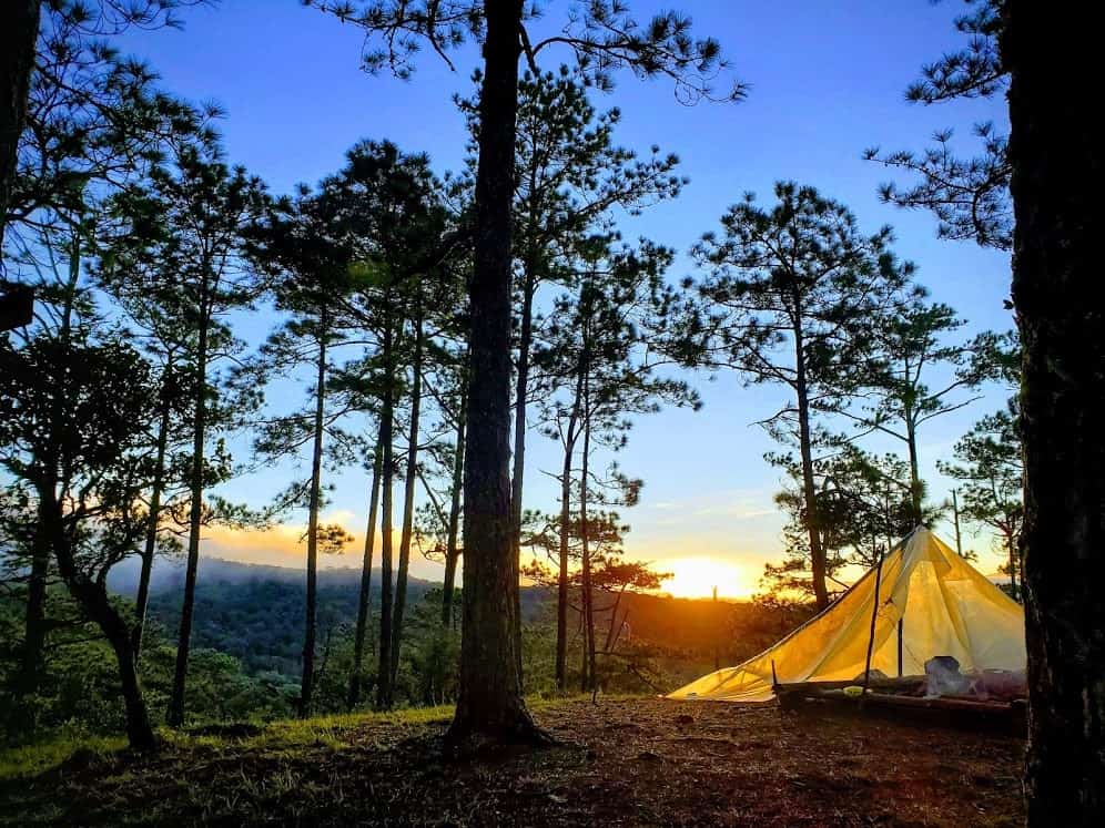 Spotting the Vietnamese Cutia in Vietnam: Top 5 Locations 6 Bidoup nui ba camping 1 WANEE Go-WILD