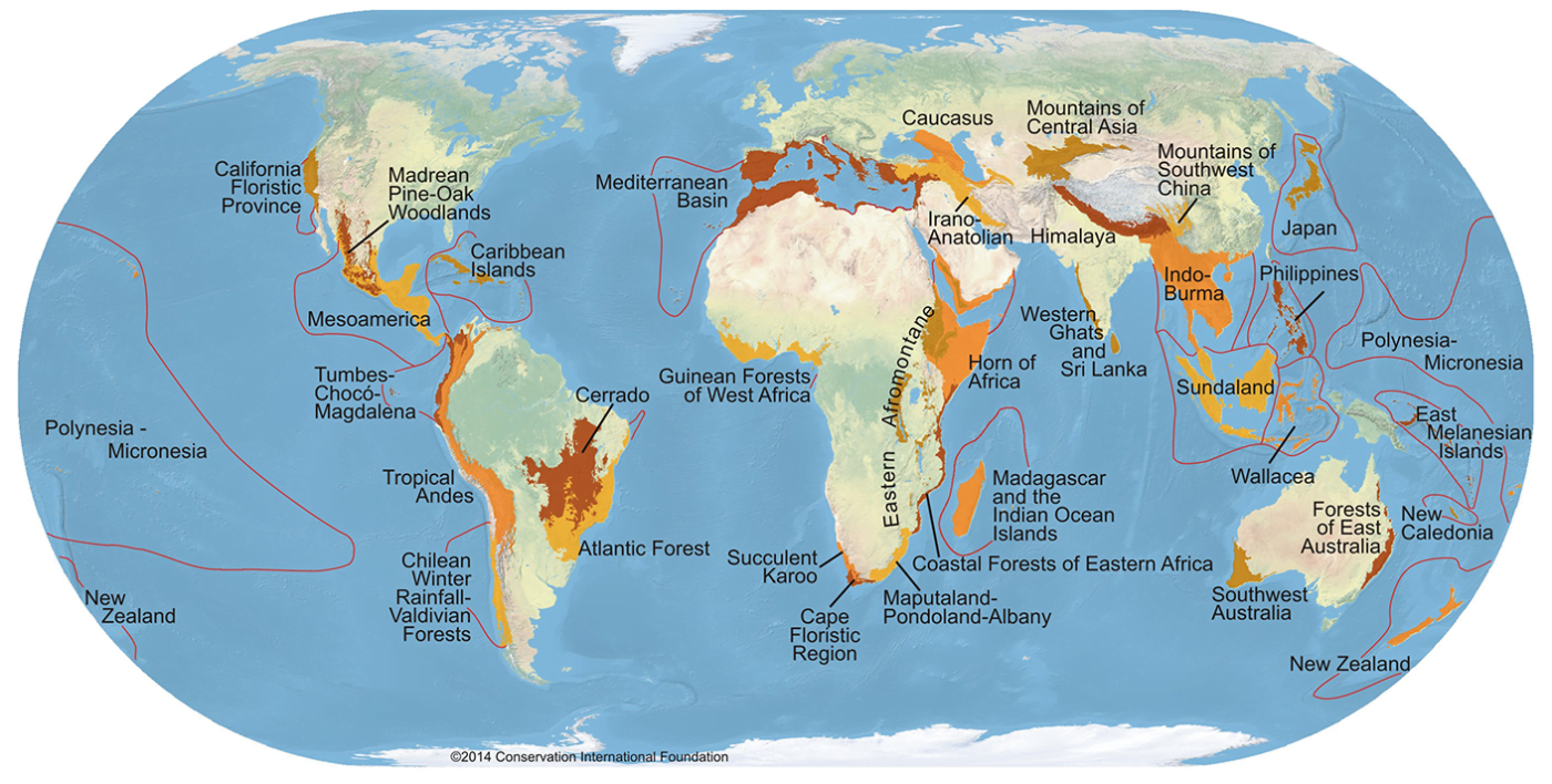 What's Biodiversity Hotspots ? 9 Spots In Asia | WANEE Go-WILD