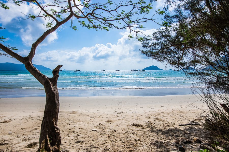 Con Dao National Park - How to Explore wild & Nature in 2023 6 Con Dao Vietnam Travel 5 WANEE ASIA