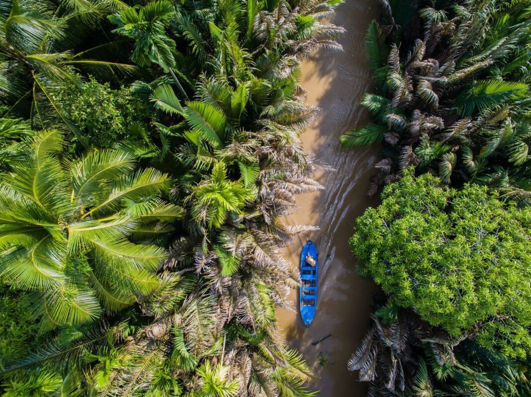 Floating markets - chic beaches - mangrove forests day trips from Ho Chi Minh City 1 Floating markets - chic beaches - mangrove forests