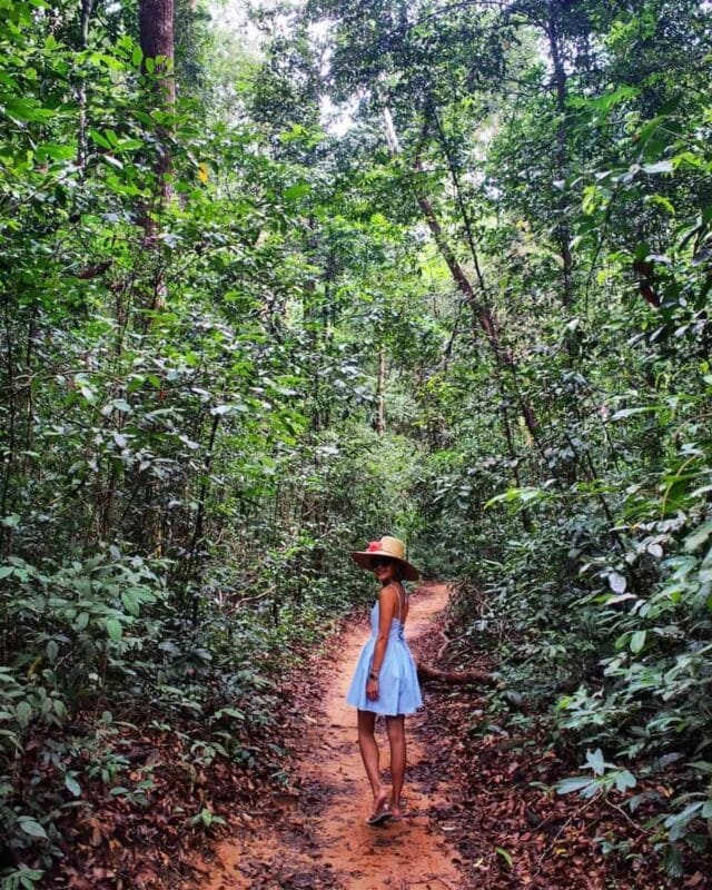 Phu Quoc National Park - How to Explore wild & Nature in 2023 5 Phu Quoc National Park