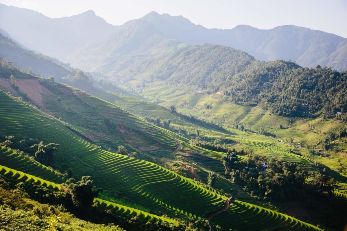 Vietnam Nature: Exciting with Jungle, rice fields, and Mountains 1 Vietnam's Nature: Exciting with Jungle, rice fields, and Mountains