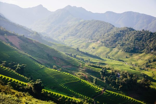 Destination_guide - Vietnam's Nature: Exciting with Jungle, rice fields, and Mountains