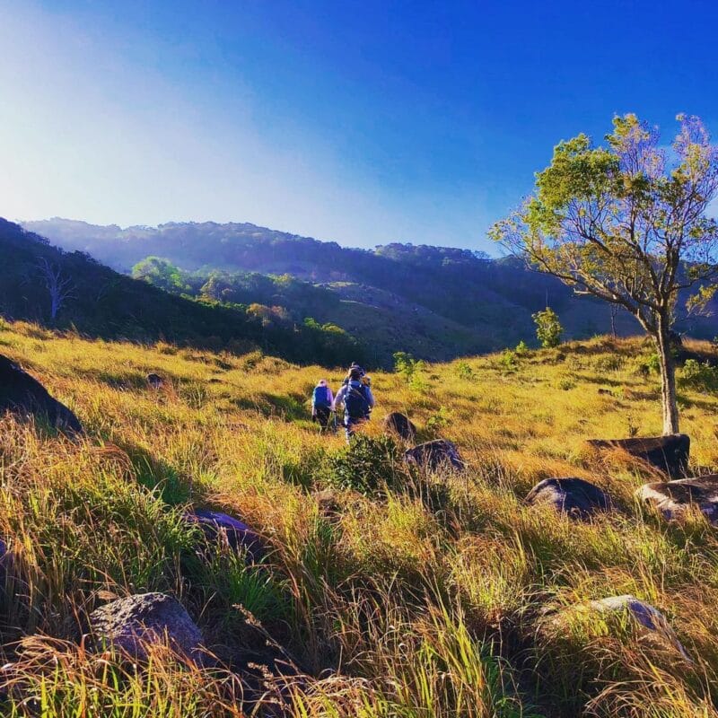Nui Chua National Park - How to Explore wild & Nature in 2023 15 Trekking in Nui Chua area - Photo: @rino_nguyen
