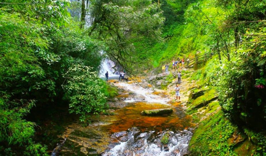 Viet Nam Ecotourism: ISSUES and IDEA? 1 charitynagator.org 10 WANEE Go-WILD