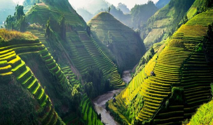 Vietnam Nature: Exciting with Jungle, rice fields, and Mountains