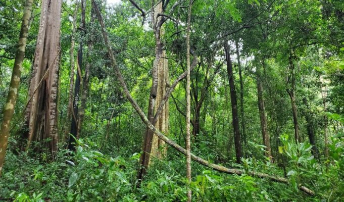 Exploring 11 world biosphere reserves in Vietnam