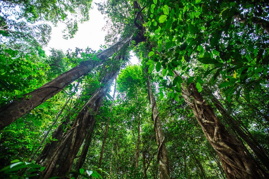 Phu Quoc National Park - How to Explore wild & Nature in 2023 6 what to do in Phu Quoc WANEE Go-WILD