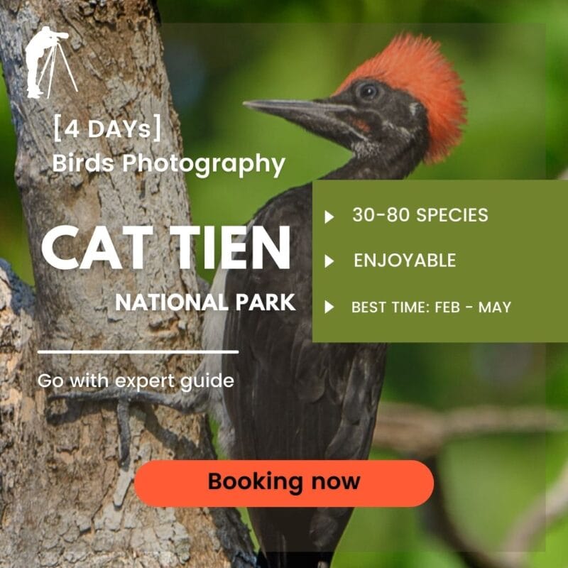 Beyond Birding: Unique Ecotourism Experiences in Cat Tien National Park 27 39 WANEE Go-WILD