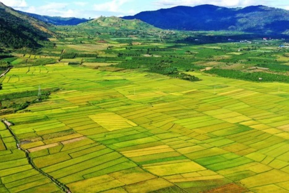 Central Highlands of Vietnam 19 5 2 WANEE Go-WILD