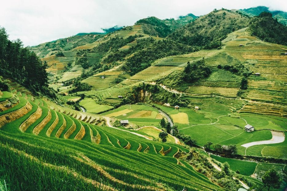Central Highlands of Vietnam 21 Central Highlands
