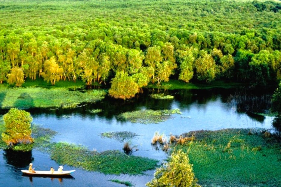 U Minh Thuong National Park – How to Explore wild & Nature in 2023 5 U Minh Thuong National Park Wildlife guide – update 2023