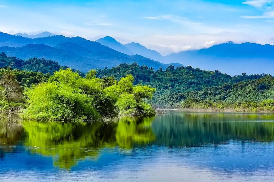 Vu Quang National Park – How to Explore wild & Nature in 2023 5 Vu Quang national park