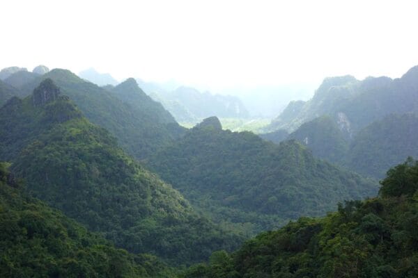 destination_guide - Cat Ba National Park