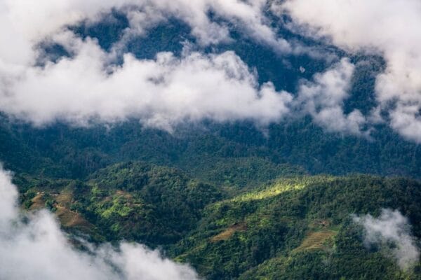 Hoang Lien Son National Park