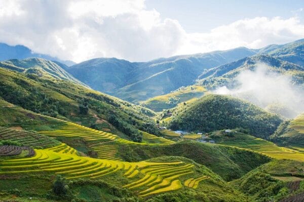 Vietnam Biodiversity_ Hoang Lien Son National Park Scenery