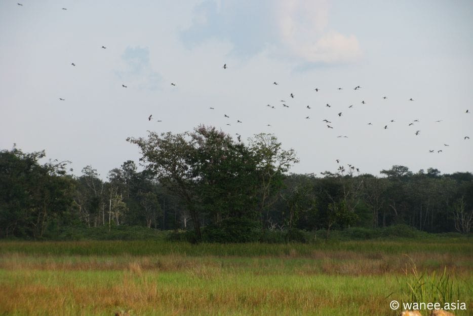 Lo Go Xa Mat National Park – How to Explore wild & Nature in 2023 5 Lo Go Xa Mat National Park – How to Explore wild & Nature in 2023