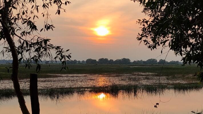 Tram Chim National Park – How to Explore wild & Nature in 2023