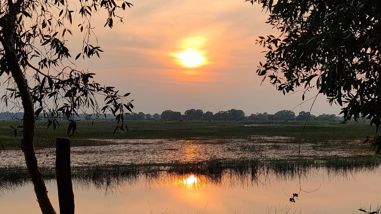 Tram Chim National Park – How to Explore wild & Nature in 2023 7 Tram Chim National Park – How to Explore wild & Nature in 2023