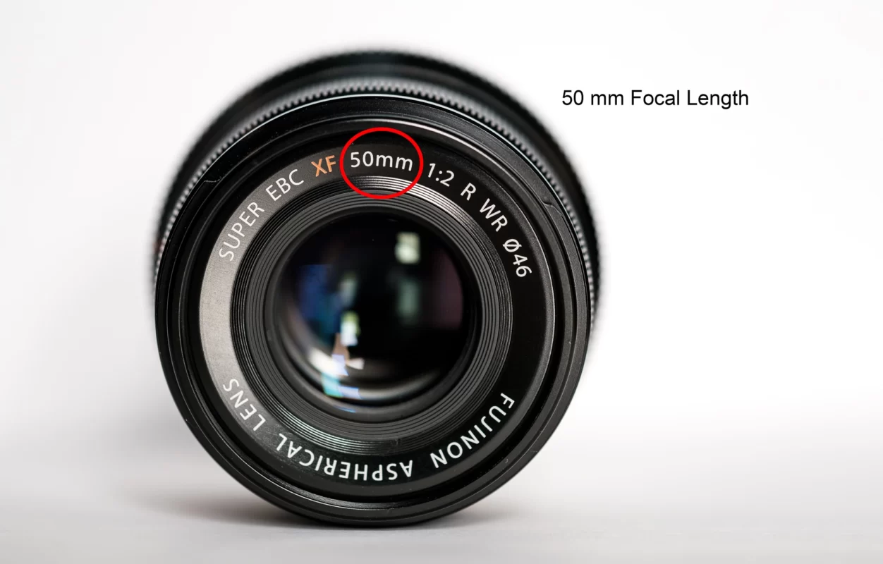 Best Focal Length For Bird Photography | WANEE Go-WILD 2025