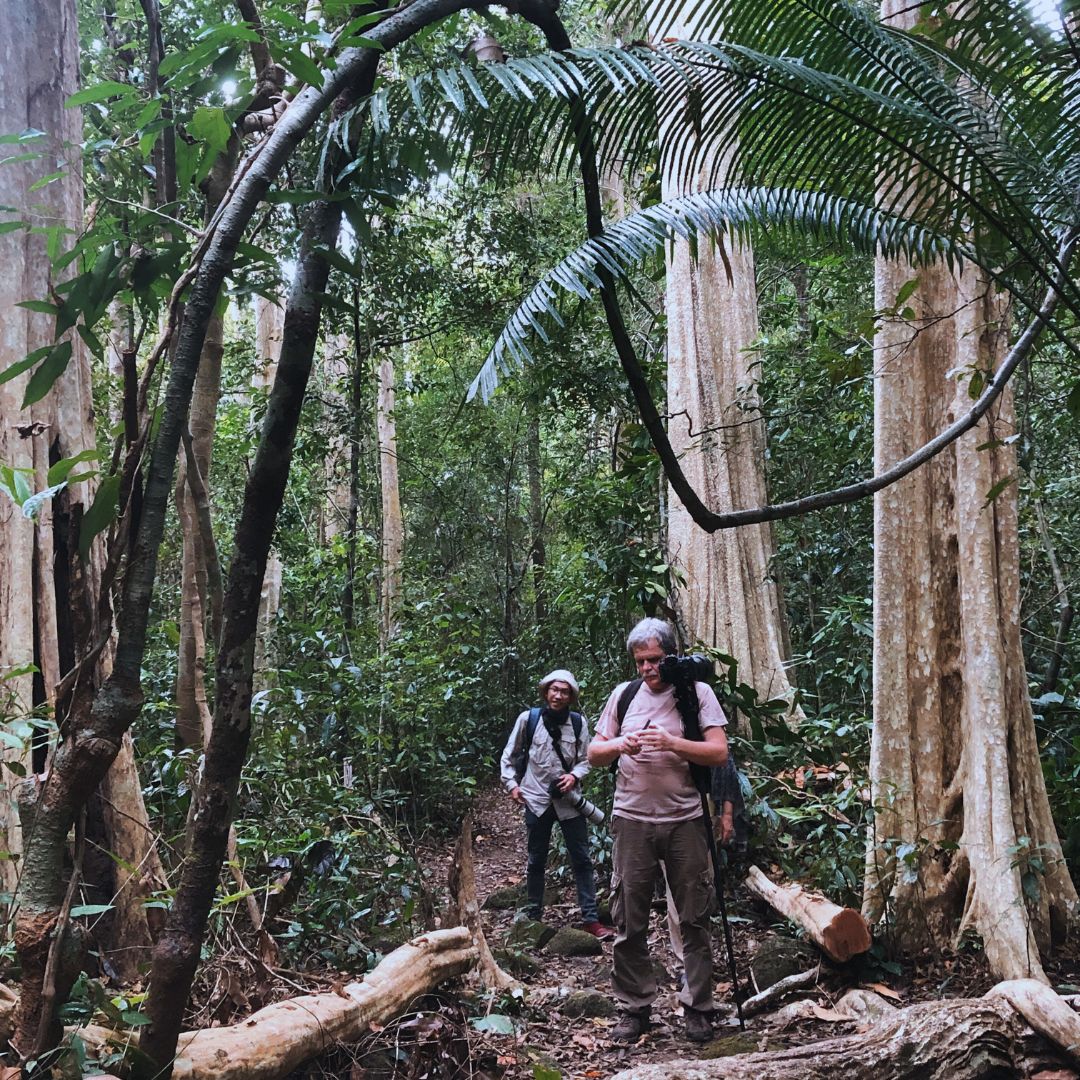 Ultimate Guide to Wildlife Trekking through Cat Tien National Park 16 Trip_report - Ecotourism, Wildlife Trekking through Cat Tien National Park