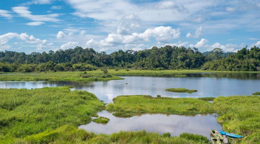 Exploring the Richness: Biodiversity Wonders of Cat Tien National Park in Viet Nam 19 Biodiversity of Cat Tien National Park