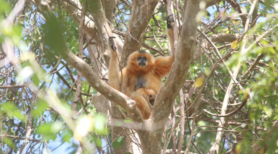 Camping in Cat Tien National Park Under the Stars: Overnight Adventures 9 12 WANEE Go-WILD