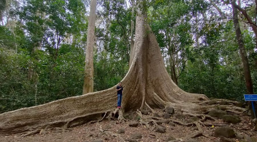 Exploring the Richness: Biodiversity Wonders of Cat Tien National Park in Viet Nam 20 2 1 WANEE Go-WILD