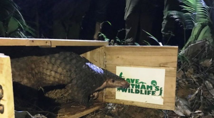 The Conservation of Cat Tien National Park: From Rhino to Rich Biodiversity 8 5 2 WANEE Go-WILD