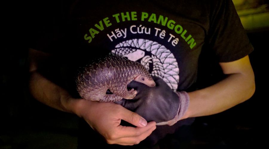 Into the Green Heart of Vietnam: Cat Tien National Park Eco-Tours 6 Into the Green Heart of Vietnam: Cat Tien National Park Eco-Tours