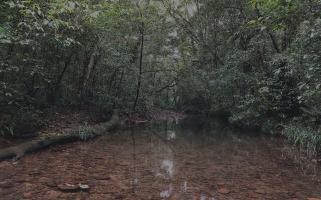 Destination_guide—Bidoup
