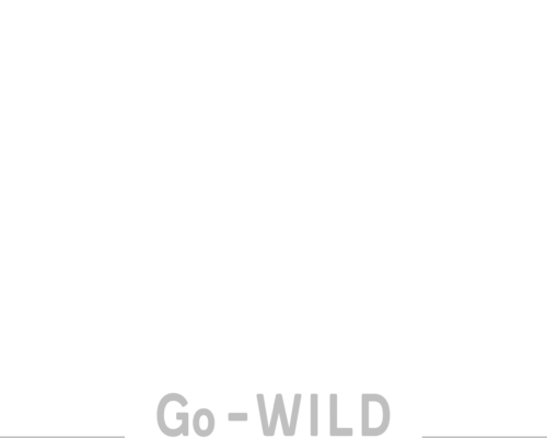 Logo WANEE Vietnam The best place for birding, herping & wildlife Watching in Vietnam