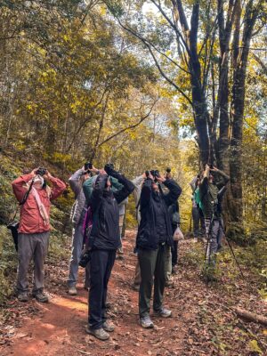 Itinerary - The guests are observing birds during the birdwatching tour.