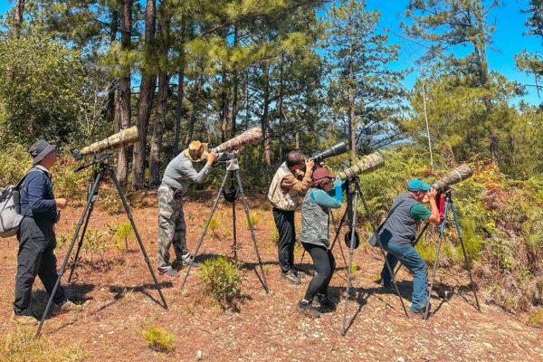 Itinerary - Birdwatchers capture beautiful bird moments with professional cameras during their birding trip in Vietnam. Private Vietnam birding guide
